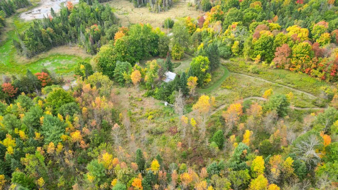 Photo 3 of 118 Storms Road, Marmora and Lake, Lake Ward — HOMEH