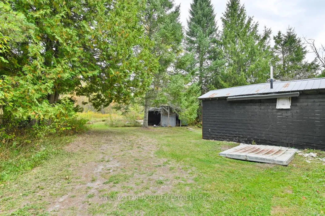 Photo 11 of 118 Storms Road, Marmora and Lake, Lake Ward — HOMEH