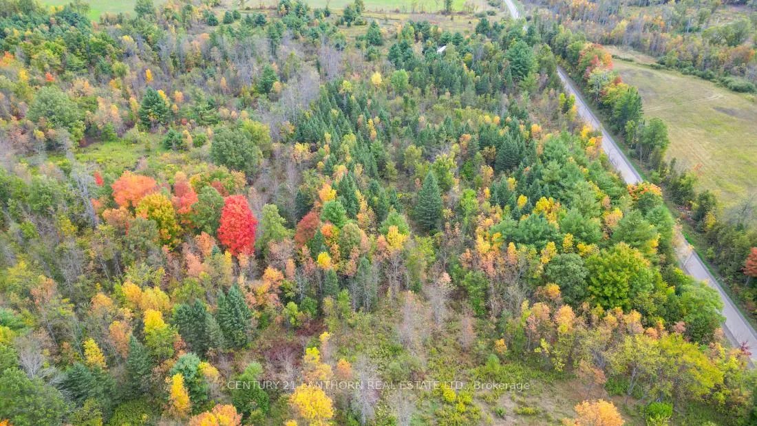 Photo 19 of 118 Storms Road, Marmora and Lake, Lake Ward — HOMEH
