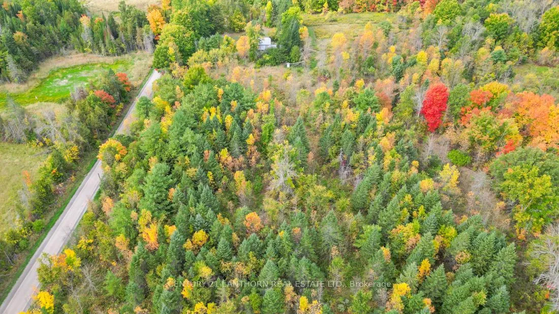 Photo 20 of 118 Storms Road, Marmora and Lake, Lake Ward — HOMEH