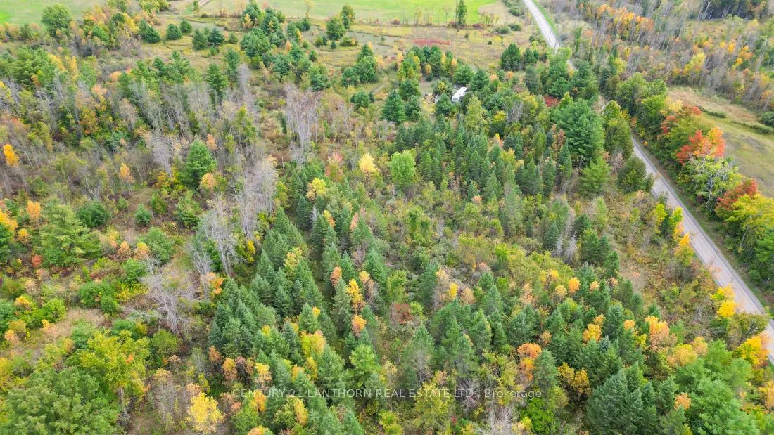 Photo 21 of 118 Storms Road, Marmora and Lake, Lake Ward — HOMEH