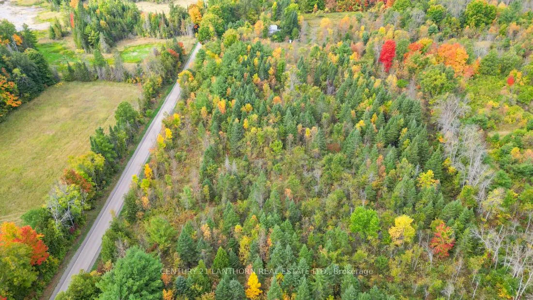 Photo 22 of 118 Storms Road, Marmora and Lake, Lake Ward — HOMEH