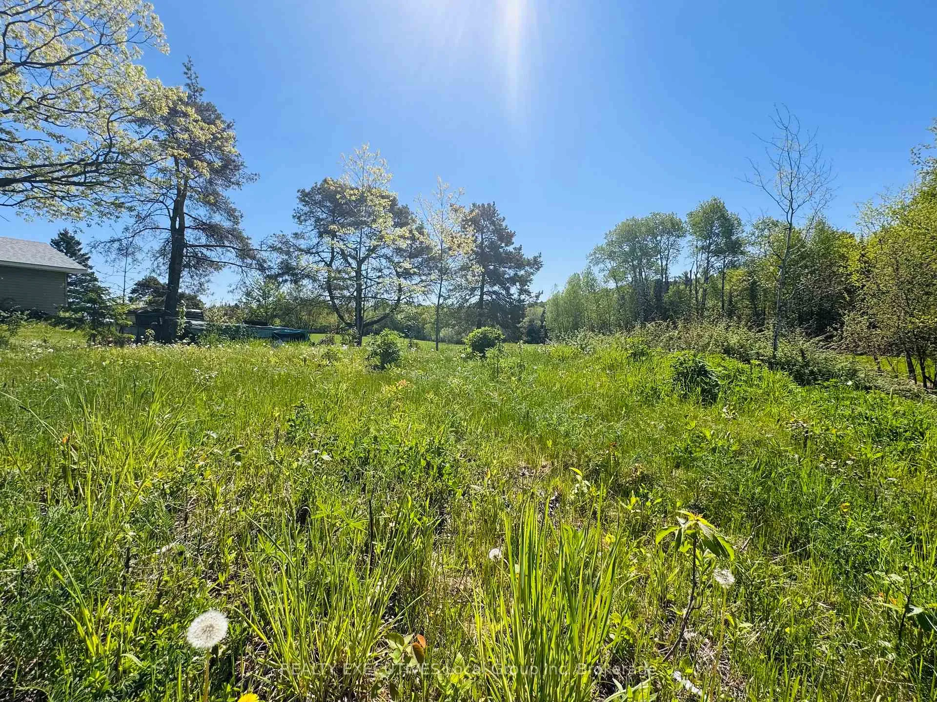 Photo 9 of 91 Memorial Park Drive E, Powassan — HOMEH