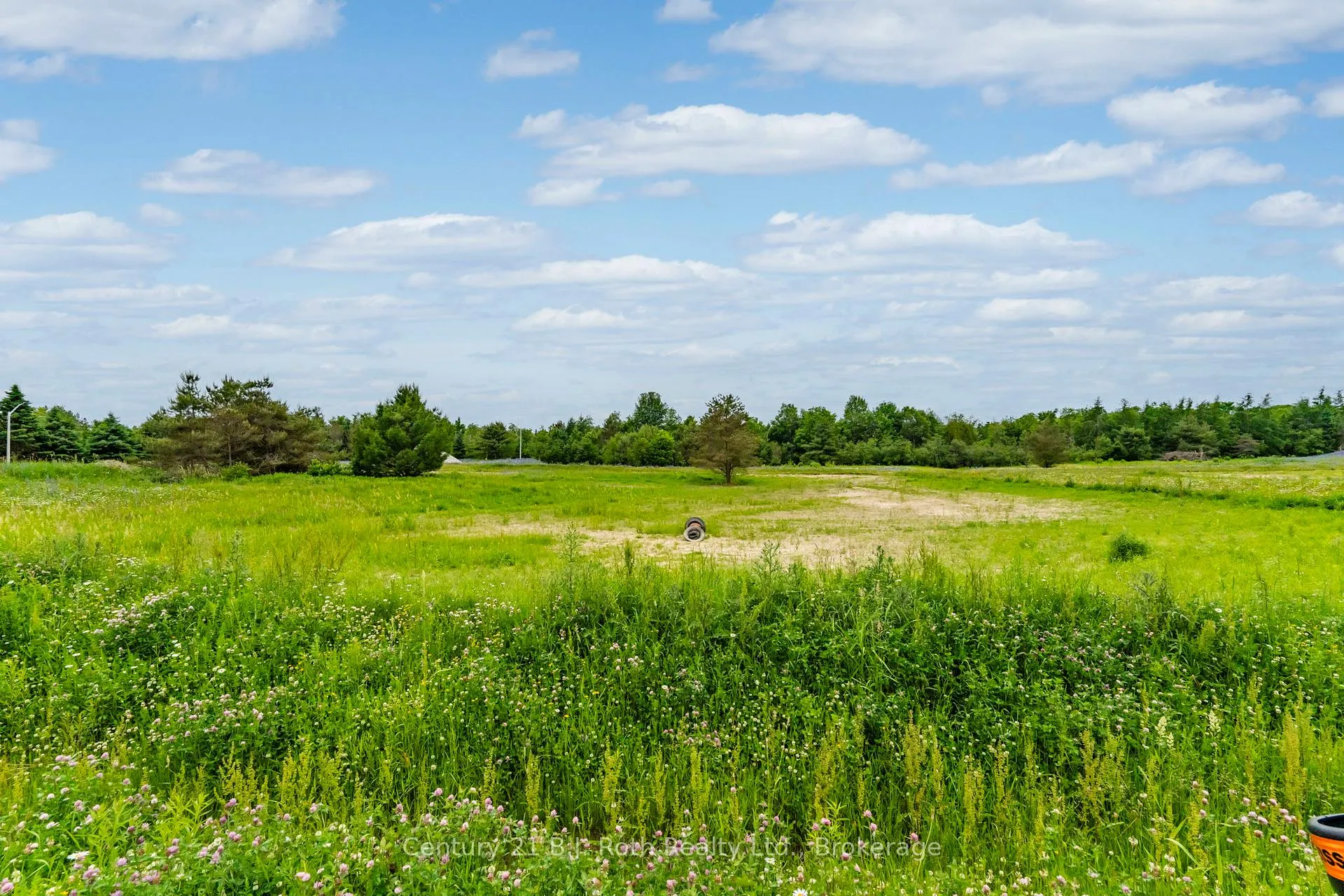 Photo 7 of 4 Rumble Court, Springwater, Rural Springwater — HOMEH
