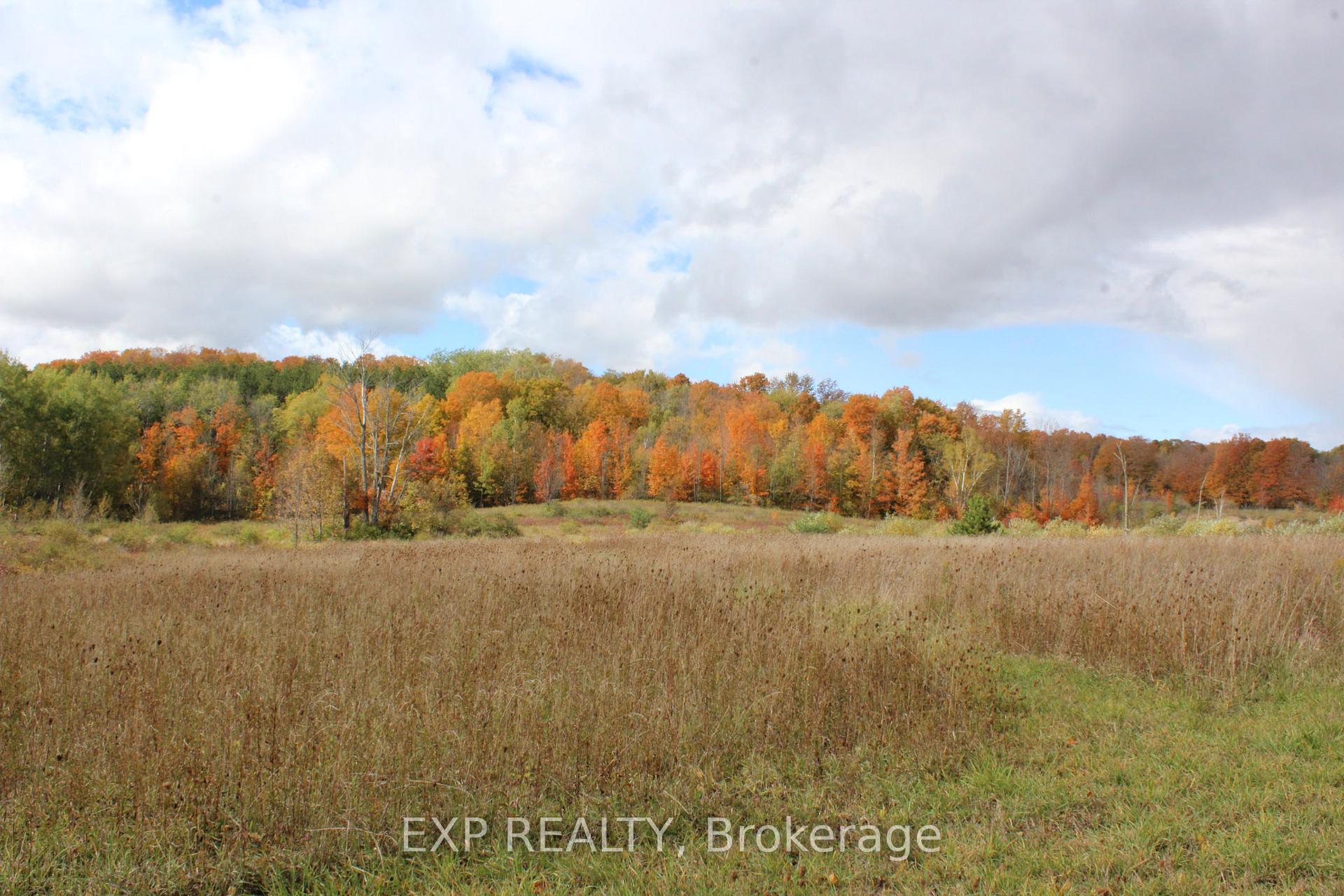 Photo 2 of 2308 Riverside Drive, Clearview, Rural Clearview — HOMEH
