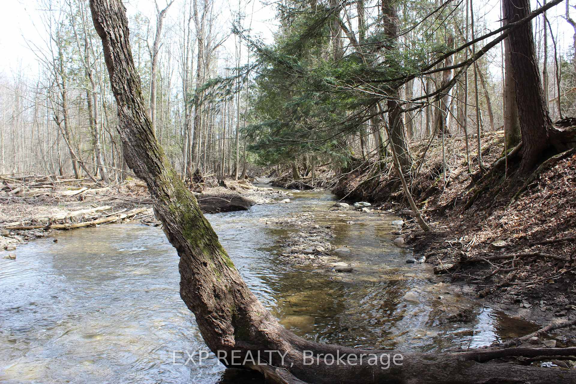 Photo 6 of 2308 Riverside Drive, Clearview, Rural Clearview — HOMEH