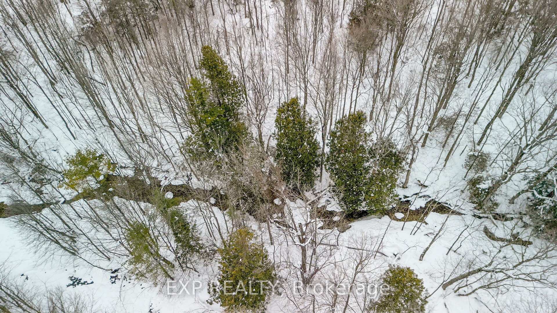 Photo 17 of 2308 Riverside Drive, Clearview, Rural Clearview — HOMEH