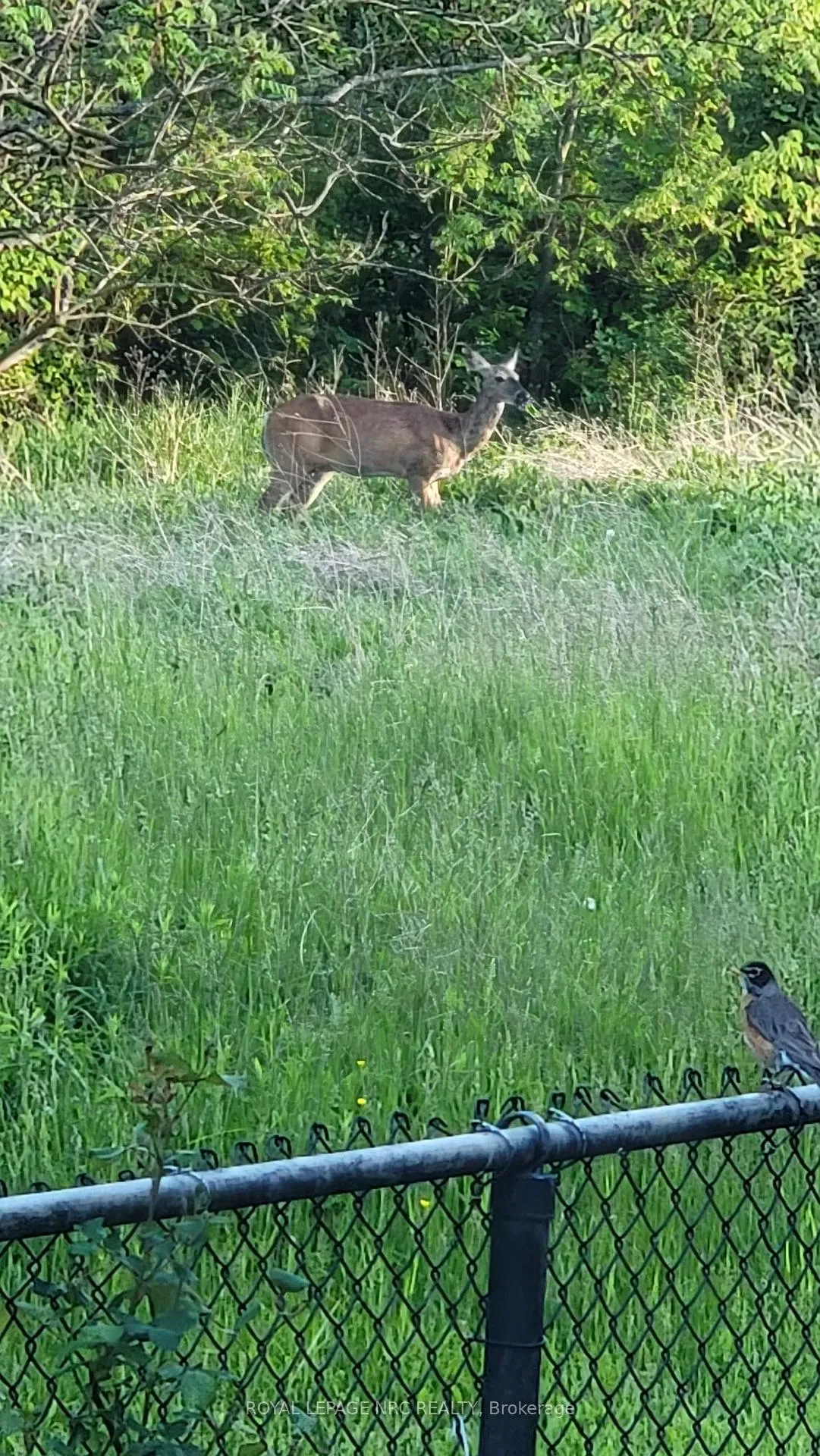 Photo 25 of Unit 42, 275 Pelham Road, St. Catharines, Rykert/Vansickle — HOMEH