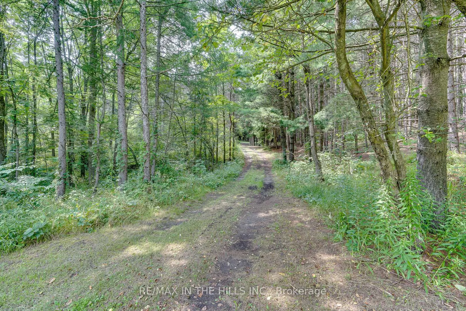 Photo 13 of Lot 11 Concession 4 Escarpment Side Road, Caledon, Rural Caledon — HOMEH