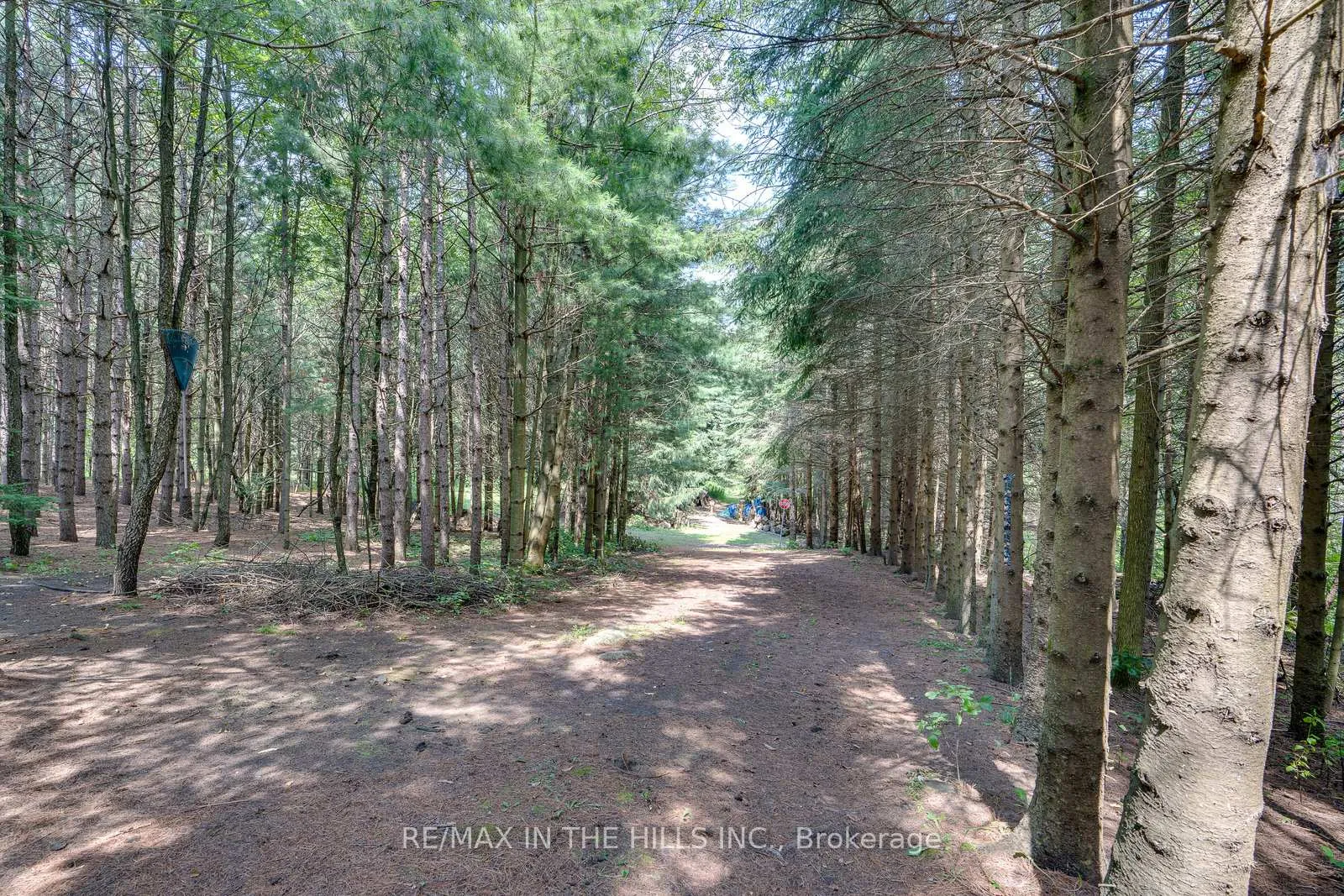 Photo 19 of Lot 11 Concession 4 Escarpment Side Road, Caledon, Rural Caledon — HOMEH