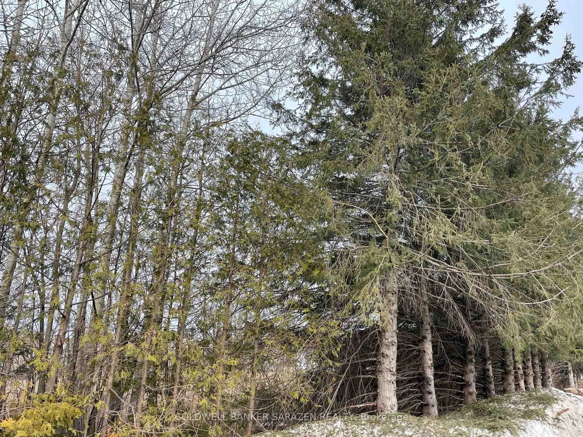 Photo 19 of 203 Attwell Private, Ottawa, Kanata - Morgan's Grant/South March — HOMEH