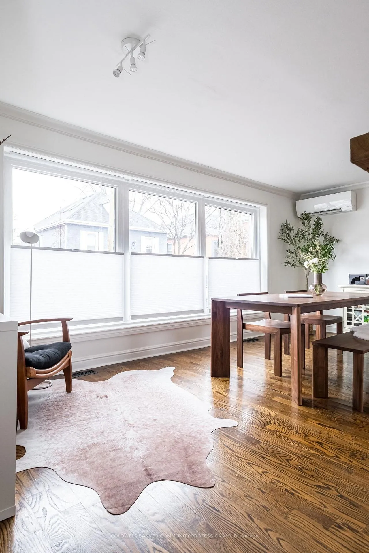Photo 37 of 14 Reginald Street, Hamilton, Kirkendall — HOMEH