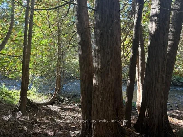 Photo 3 of Queen Street E, Caledon, Alton — HOMEH