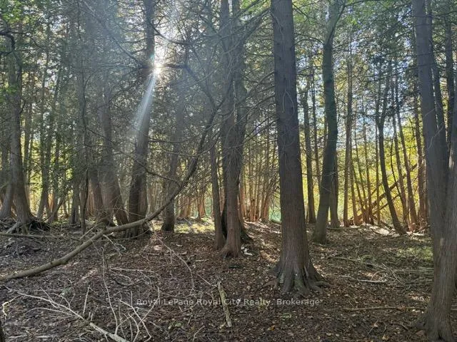 Photo 7 of Queen Street E, Caledon, Alton — HOMEH
