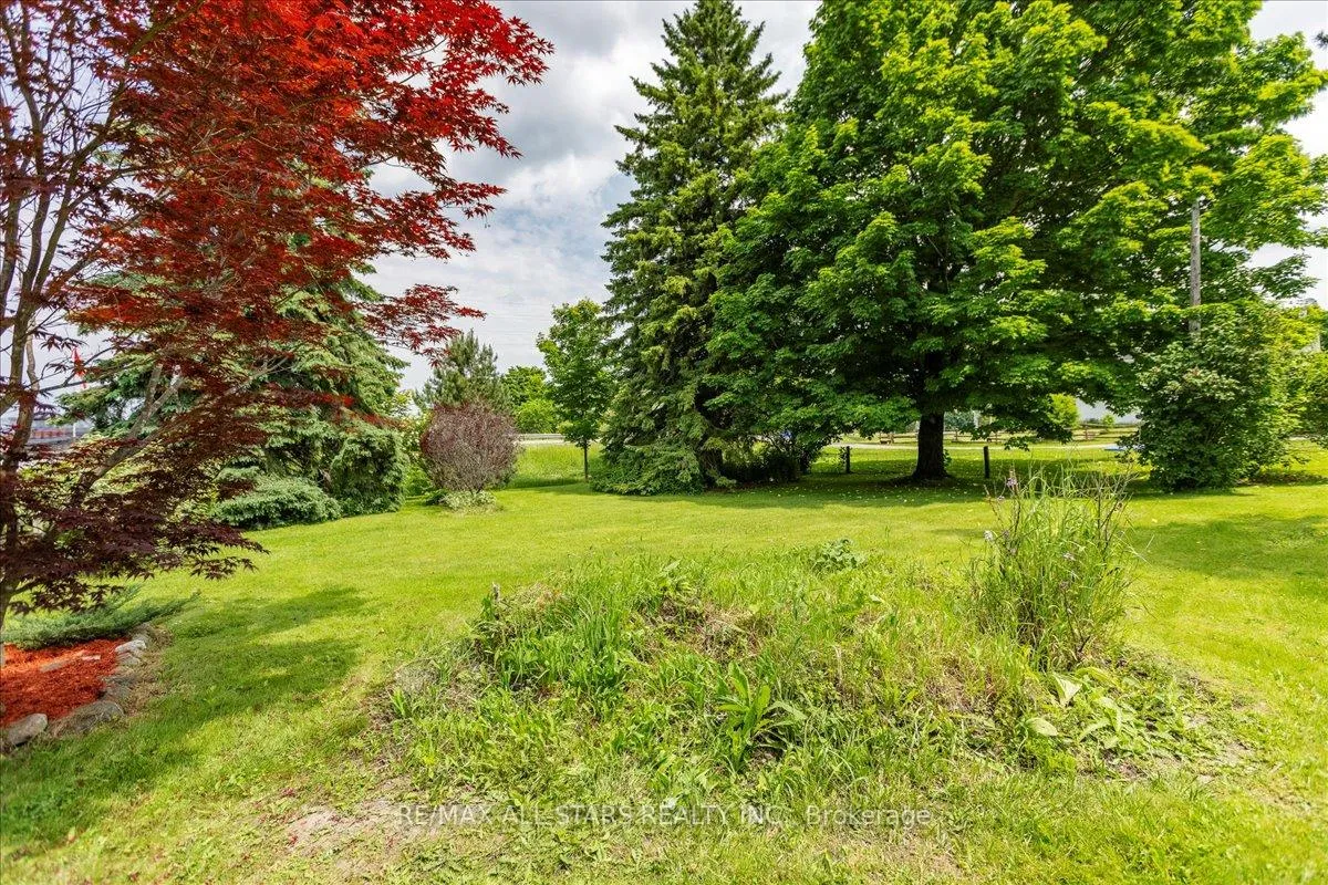 Photo 6 of 3369 Baseline Road, Georgina, Belhaven — HOMEH