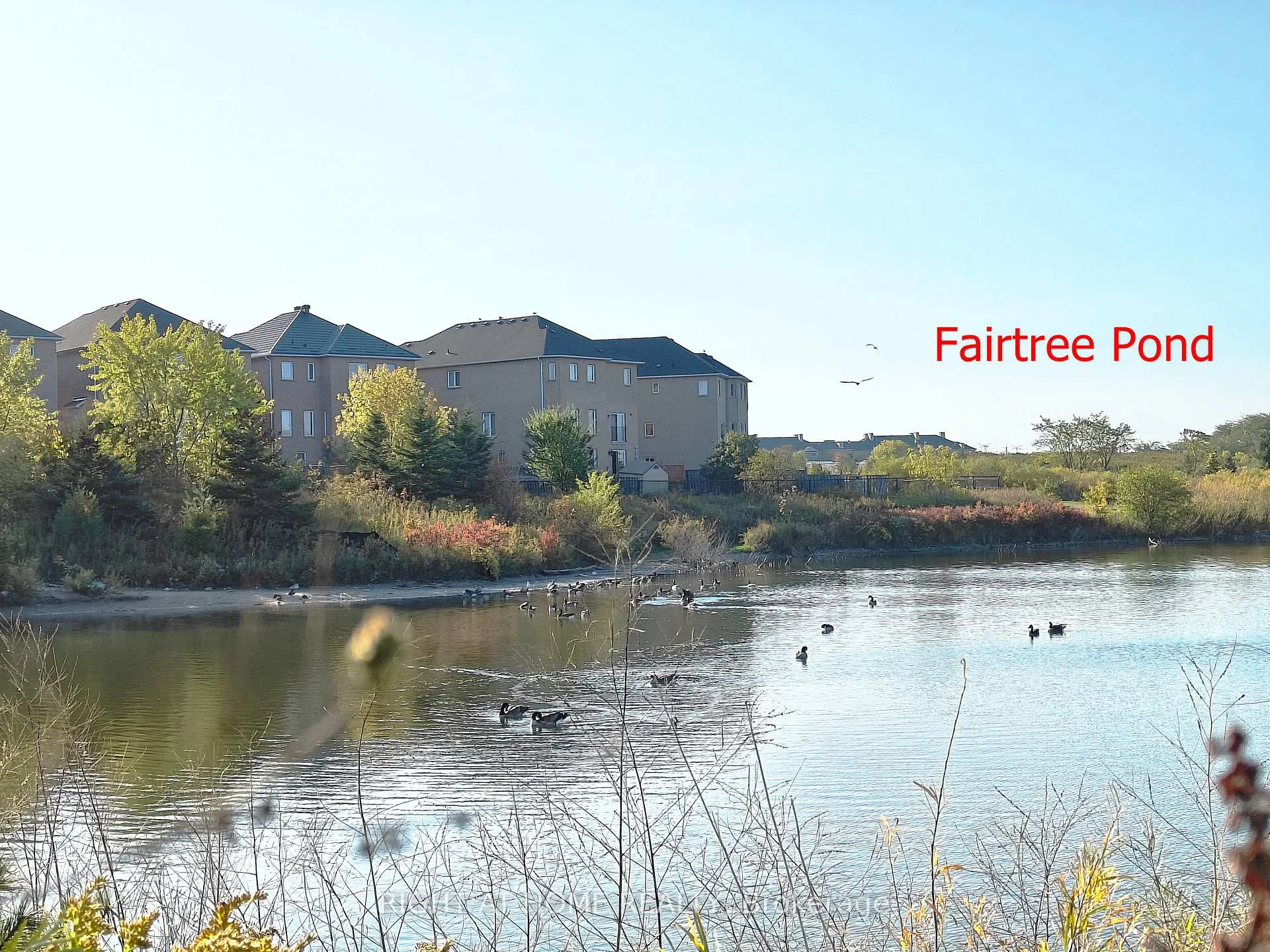 Photo 3 of 36 Andress Way, Markham, Cedarwood — HOMEH