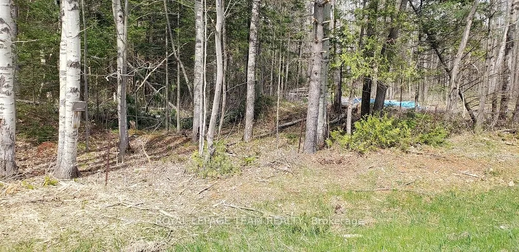 Photo 1 of 000 Burnstown Road W, McNab/Braeside, Mcnab/Braeside Twps — HOMEH