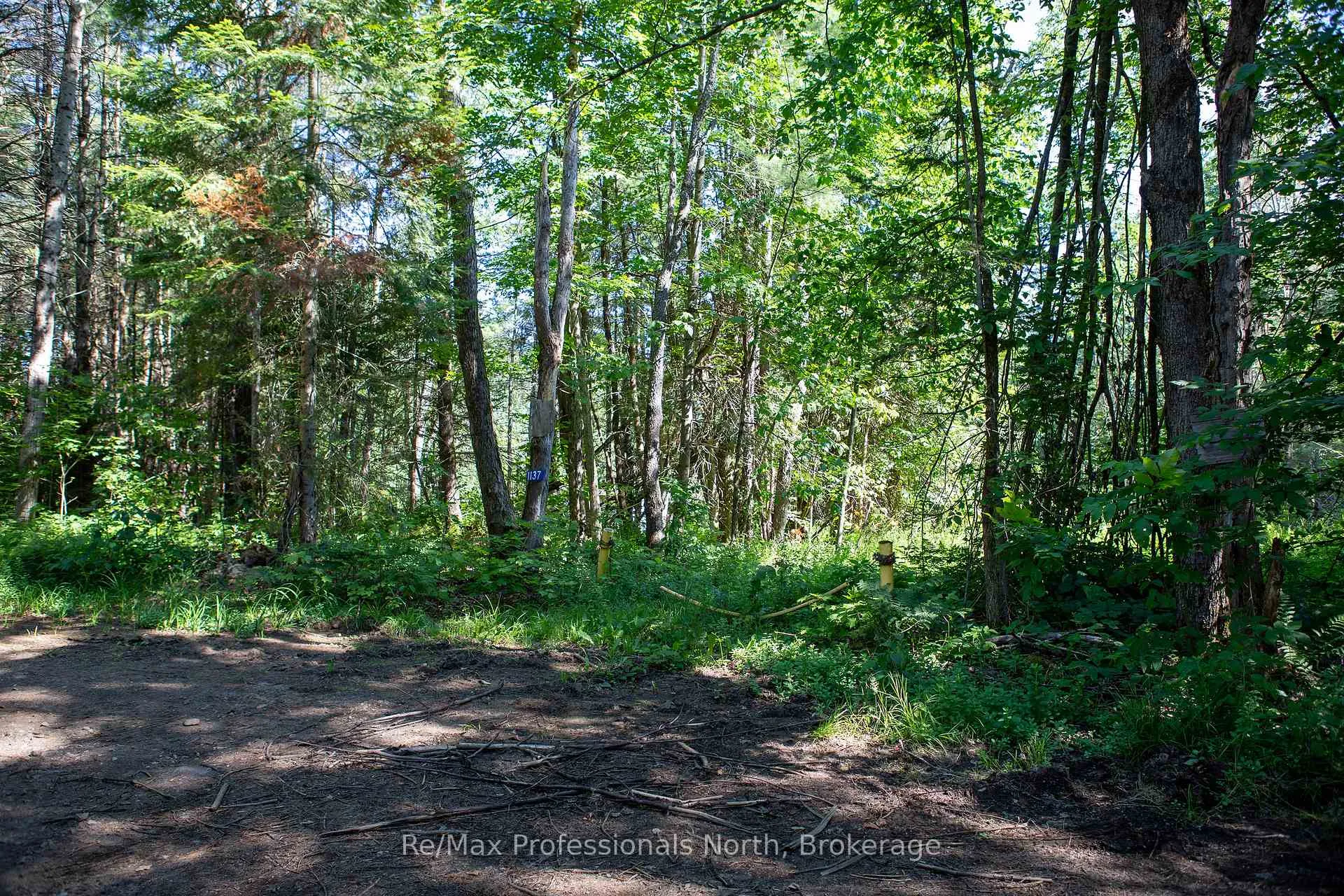 Photo 1 of 1137 Blackmore Road, Bracebridge, Draper — HOMEH