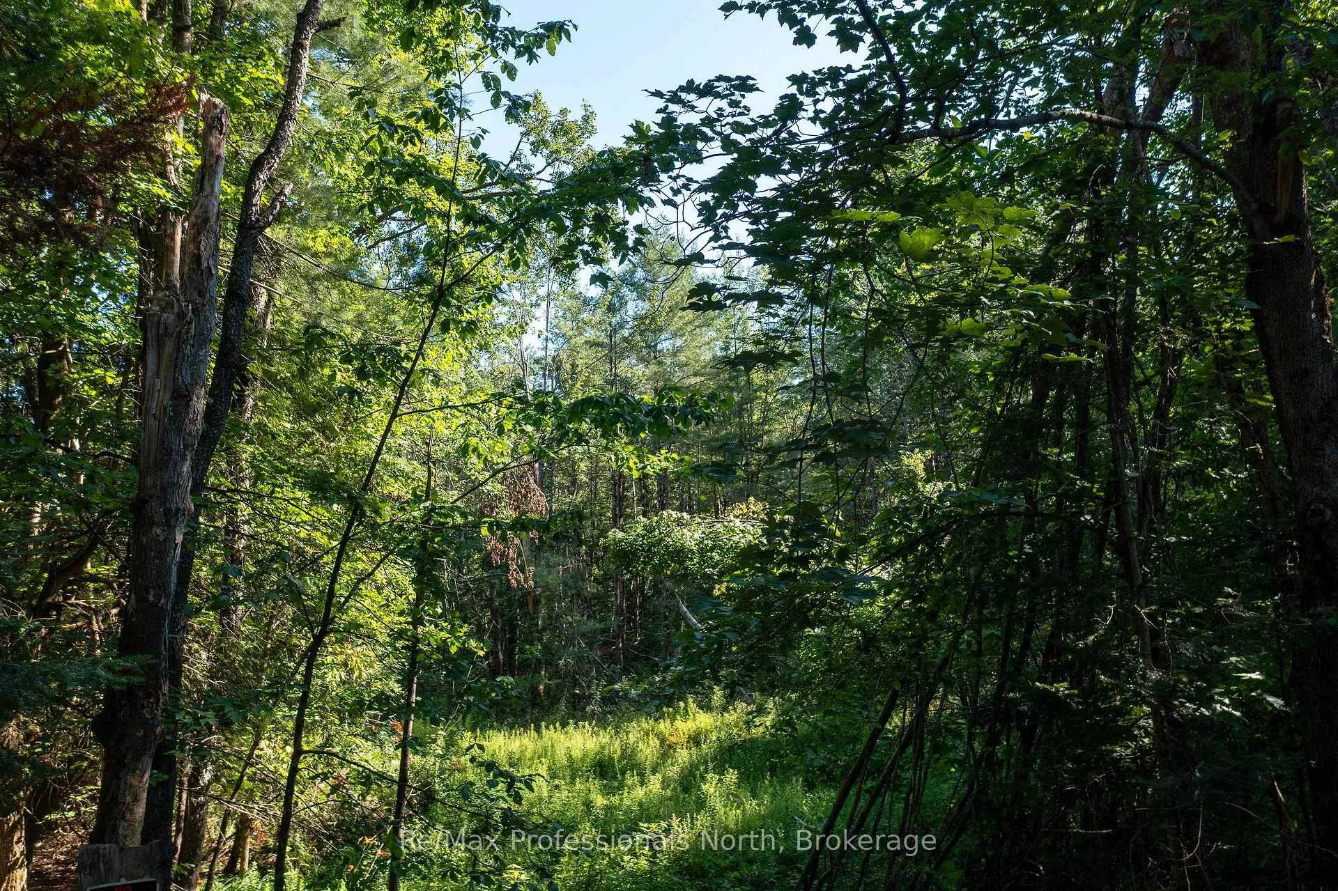 Photo 2 of 1137 Blackmore Road, Bracebridge, Draper — HOMEH