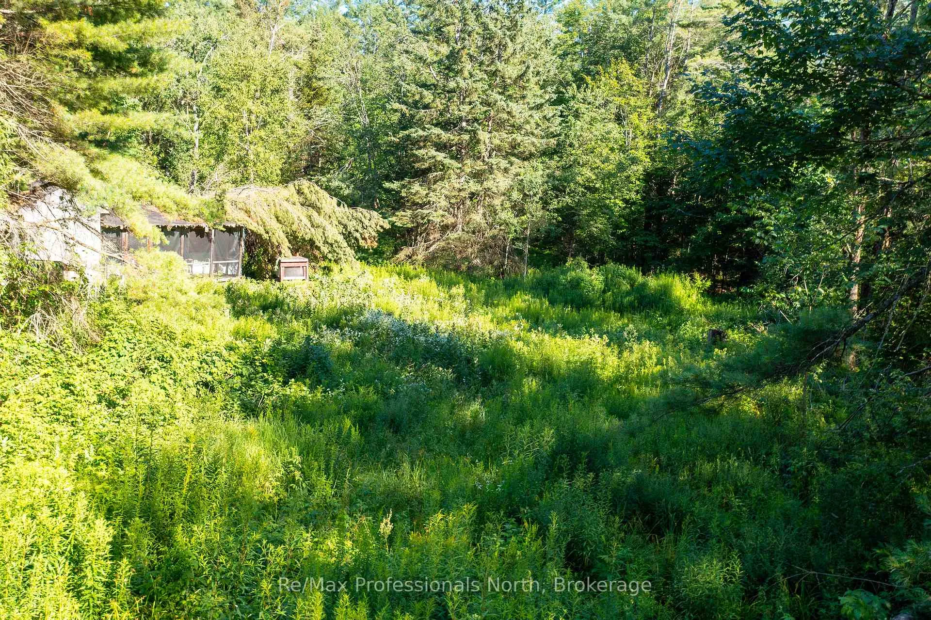Photo 8 of 1137 Blackmore Road, Bracebridge, Draper — HOMEH