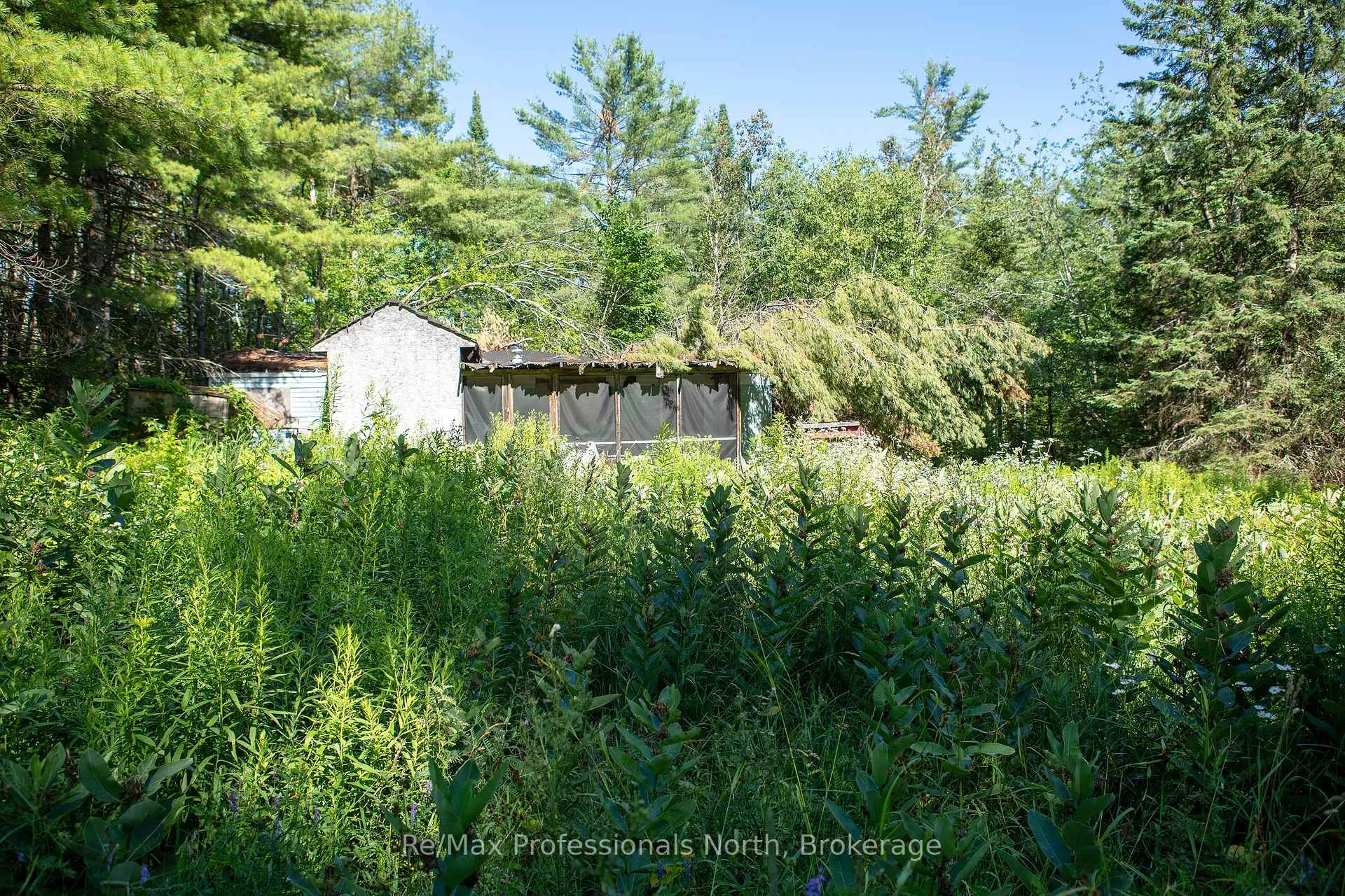 Photo 9 of 1137 Blackmore Road, Bracebridge, Draper — HOMEH