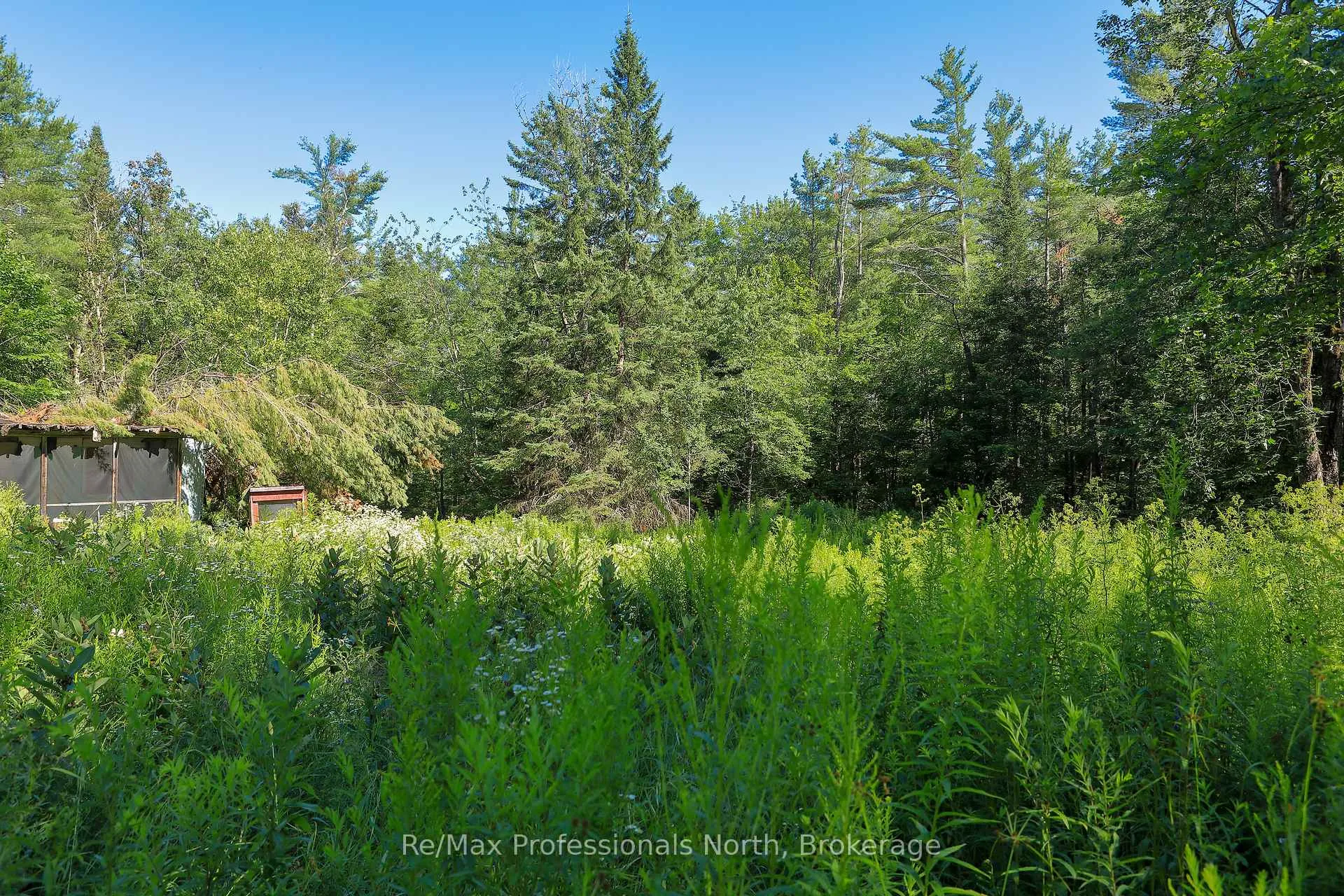 Photo 10 of 1137 Blackmore Road, Bracebridge, Draper — HOMEH
