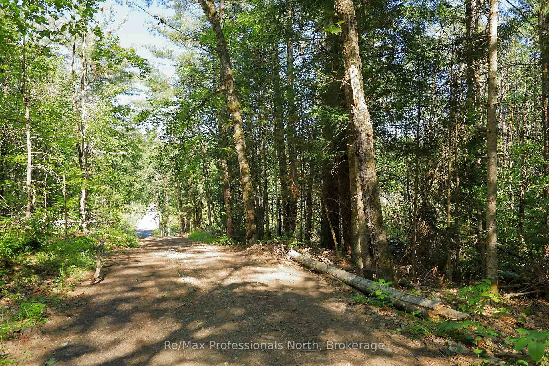 Photo 11 of 1137 Blackmore Road, Bracebridge, Draper — HOMEH