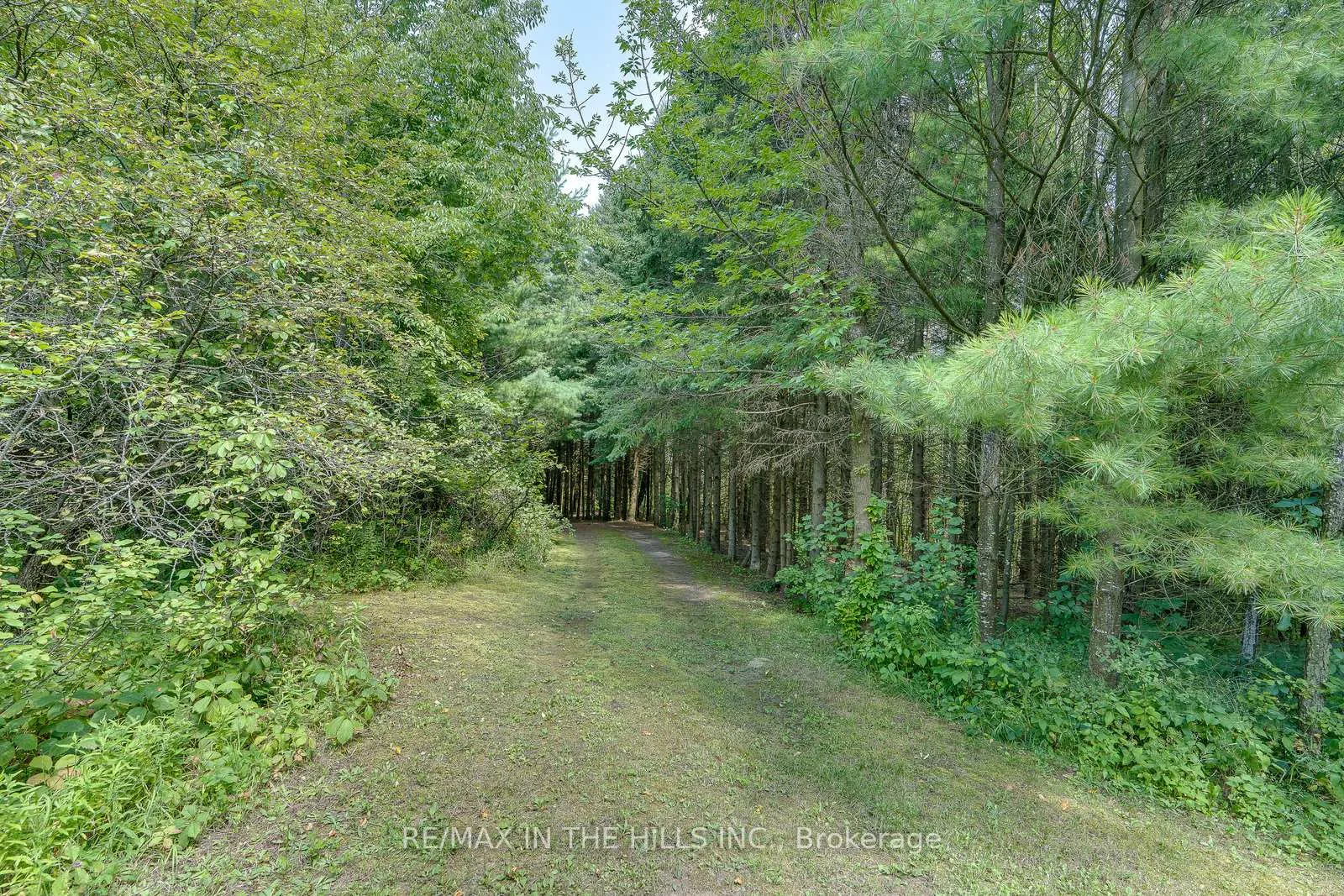 Photo 24 of PT LOT 11 Con 4 Escarpment Side Road, Caledon, Rural Caledon — HOMEH