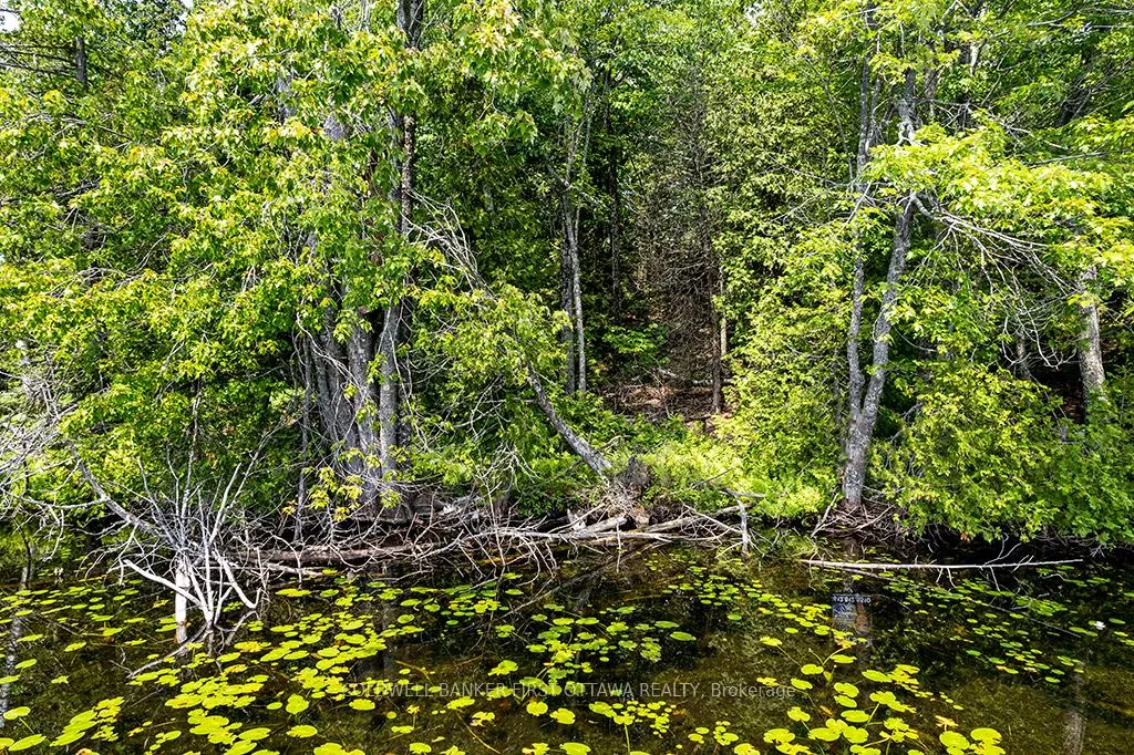 Photo 11 of 000 Graceys Island, Frontenac, Frontenac Centre — HOMEH