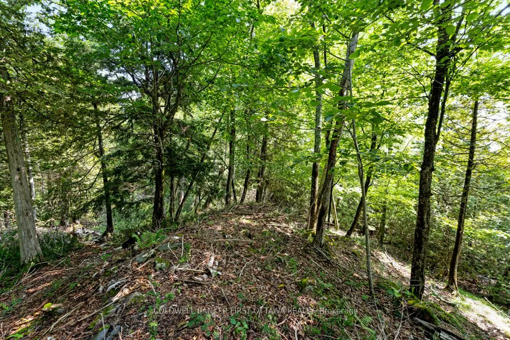 Photo 12 of 000 Graceys Island, Frontenac, Frontenac Centre — HOMEH