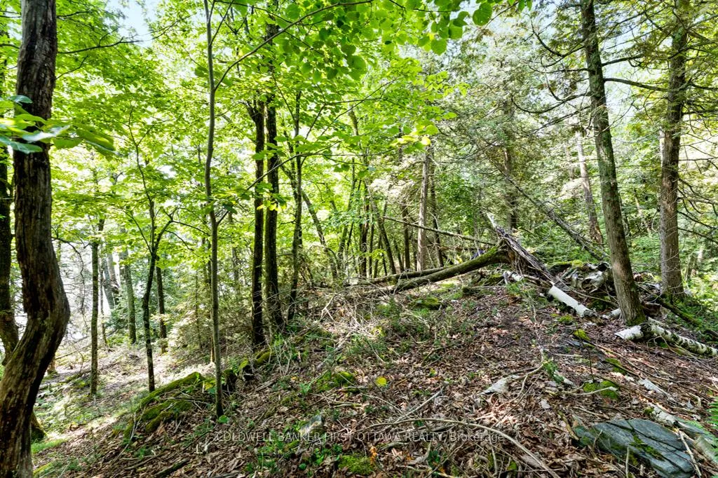 Photo 13 of 000 Graceys Island, Frontenac, Frontenac Centre — HOMEH