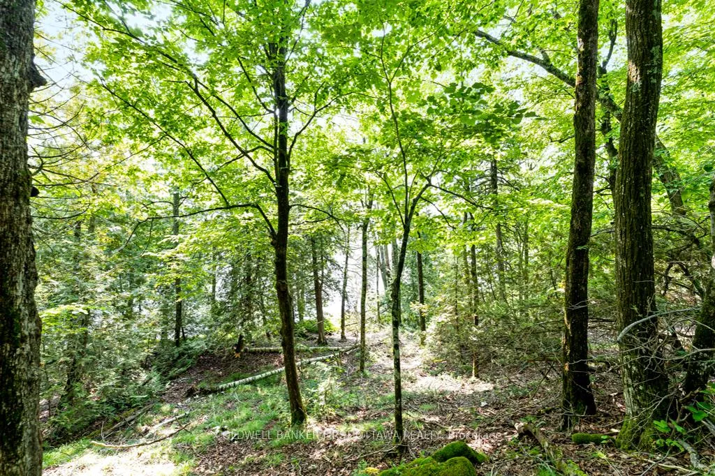 Photo 14 of 000 Graceys Island, Frontenac, Frontenac Centre — HOMEH