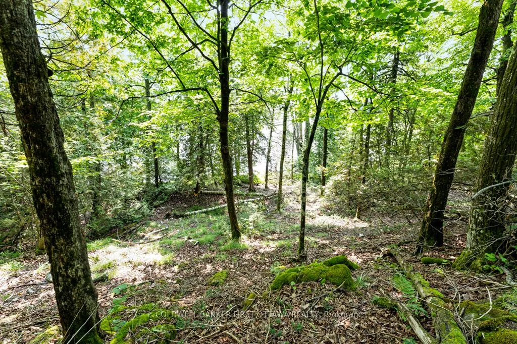 Photo 15 of 000 Graceys Island, Frontenac, Frontenac Centre — HOMEH