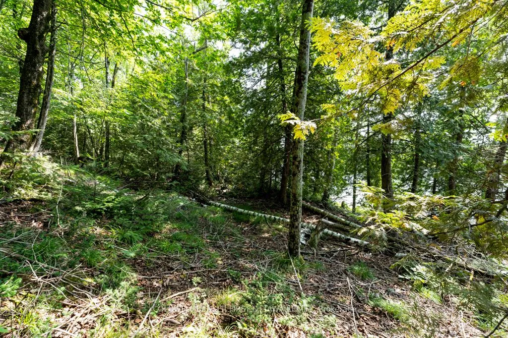 Photo 16 of 000 Graceys Island, Frontenac, Frontenac Centre — HOMEH