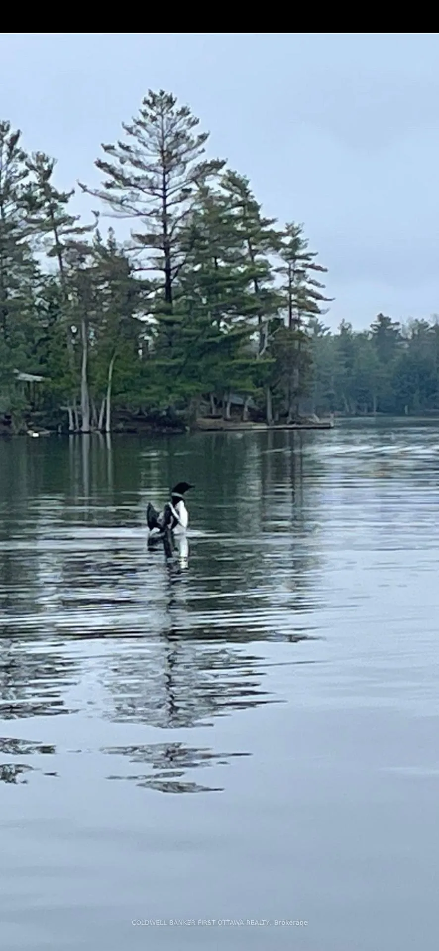 Photo 19 of 000 Graceys Island, Frontenac, Frontenac Centre — HOMEH