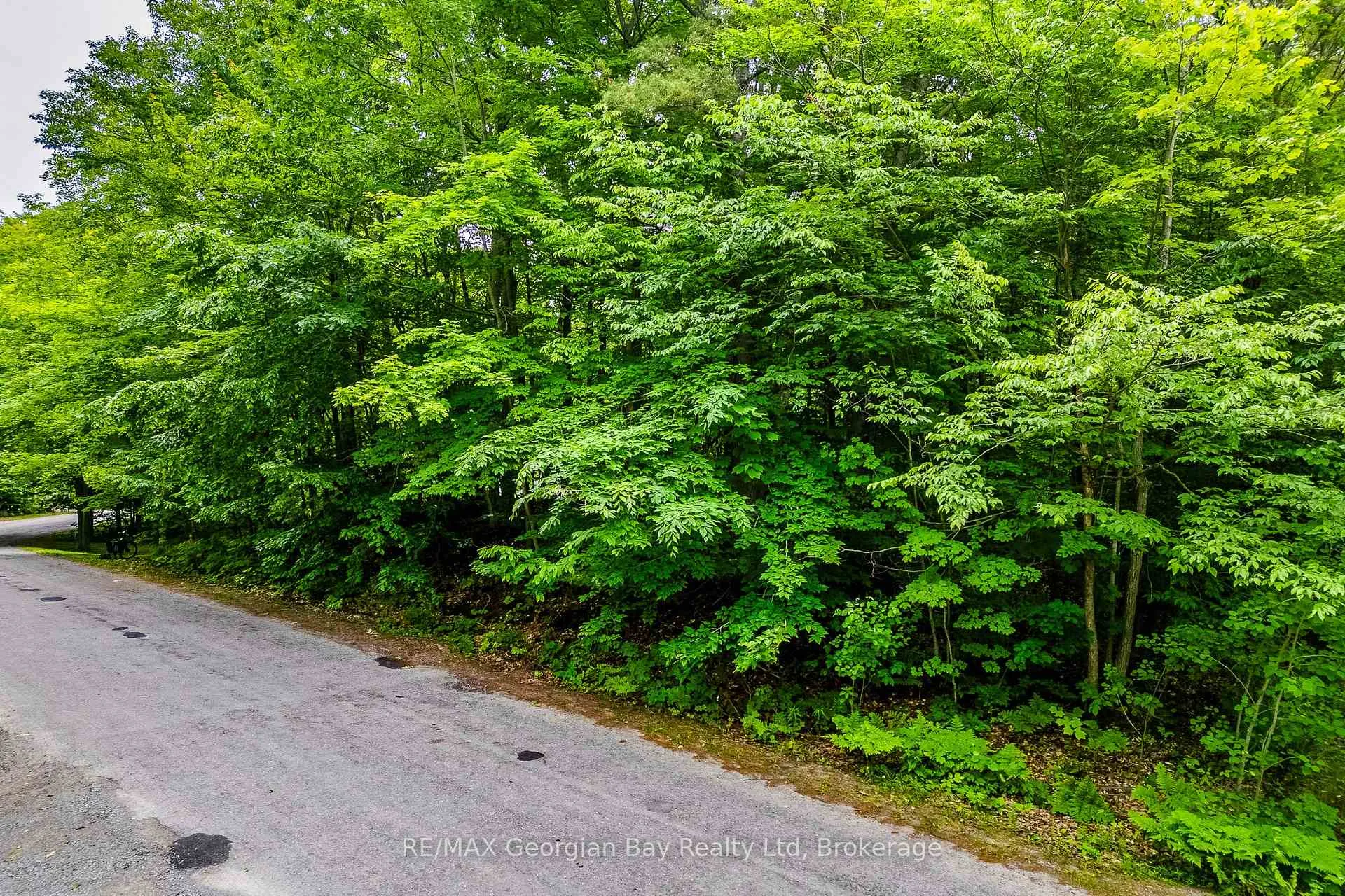 Photo 3 of Lot 428 Desroches Trail, Tiny, Rural Tiny — HOMEH