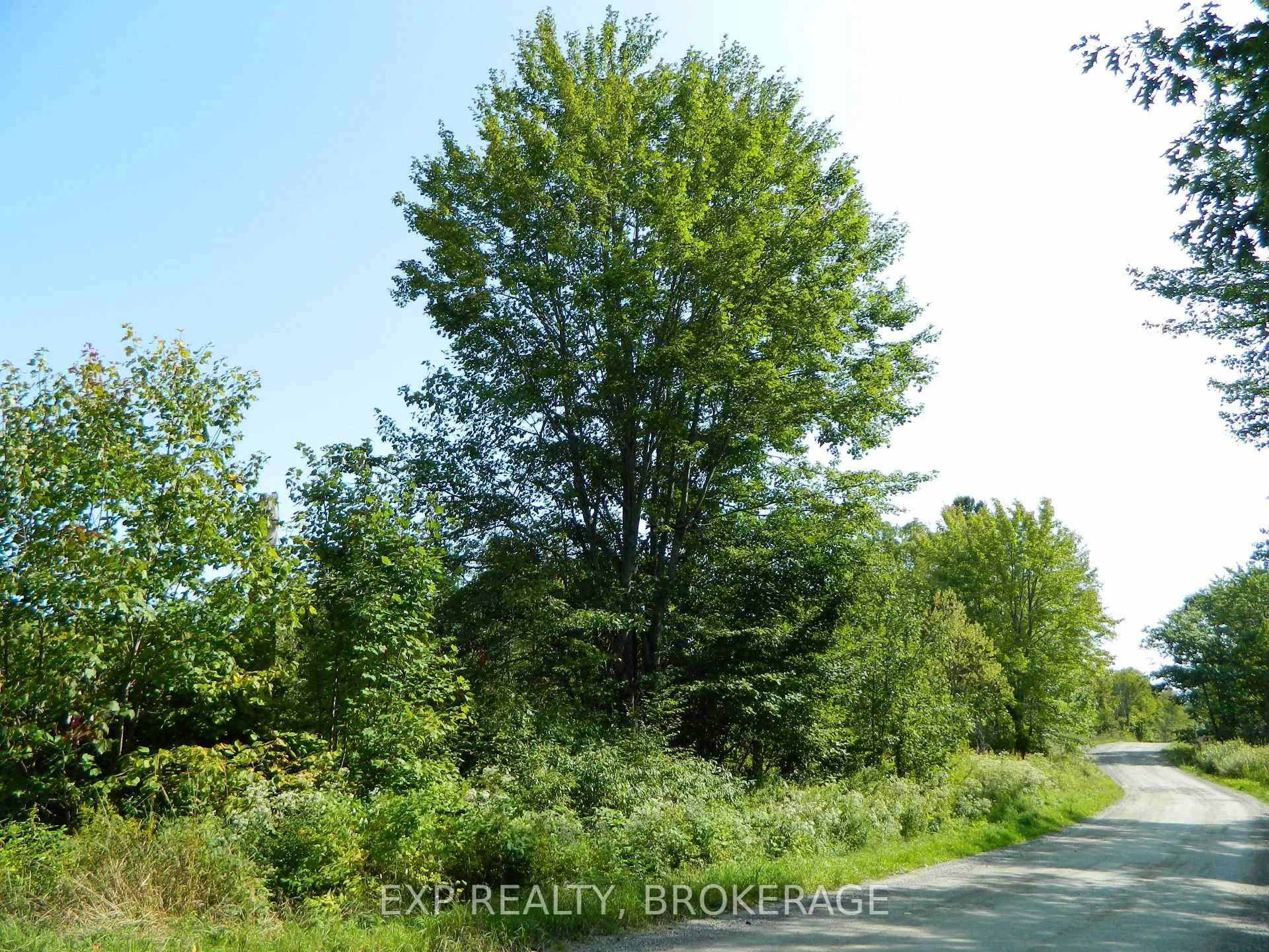 Front of CON 5 N PT LOT 12 LOT 13 Echo Lake Road