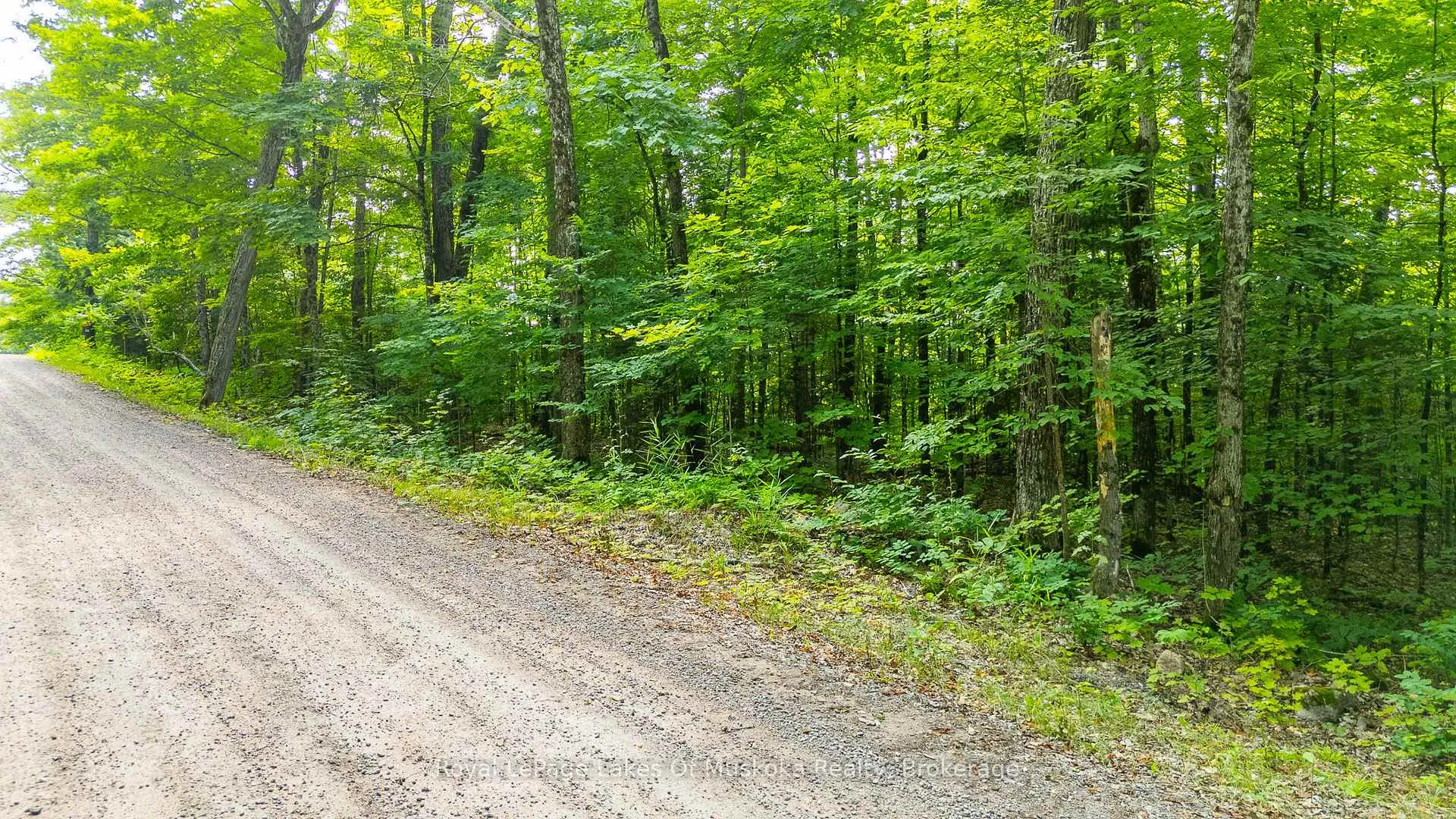 Photo 4 of Bird Lake Road, Bracebridge, Oakley — HOMEH