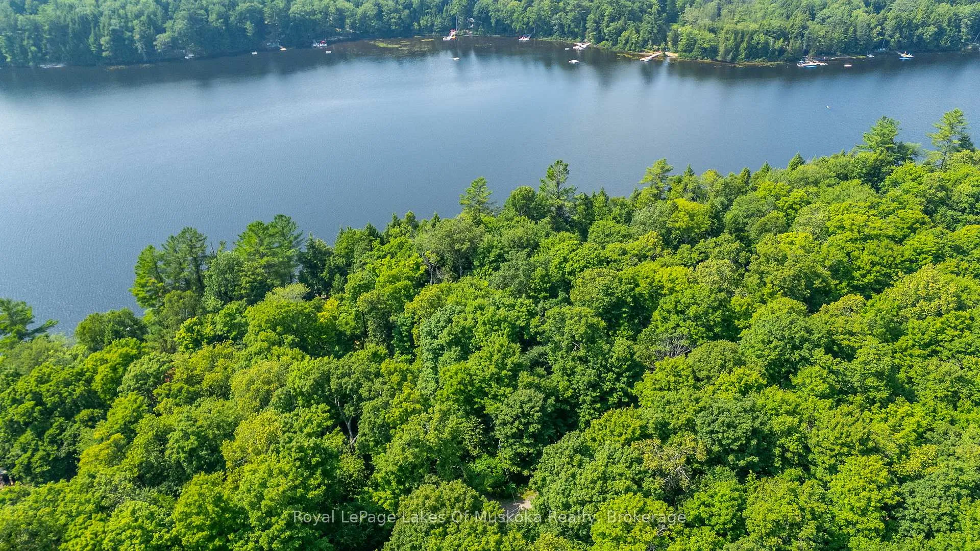 Photo 5 of Bird Lake Road, Bracebridge, Oakley — HOMEH