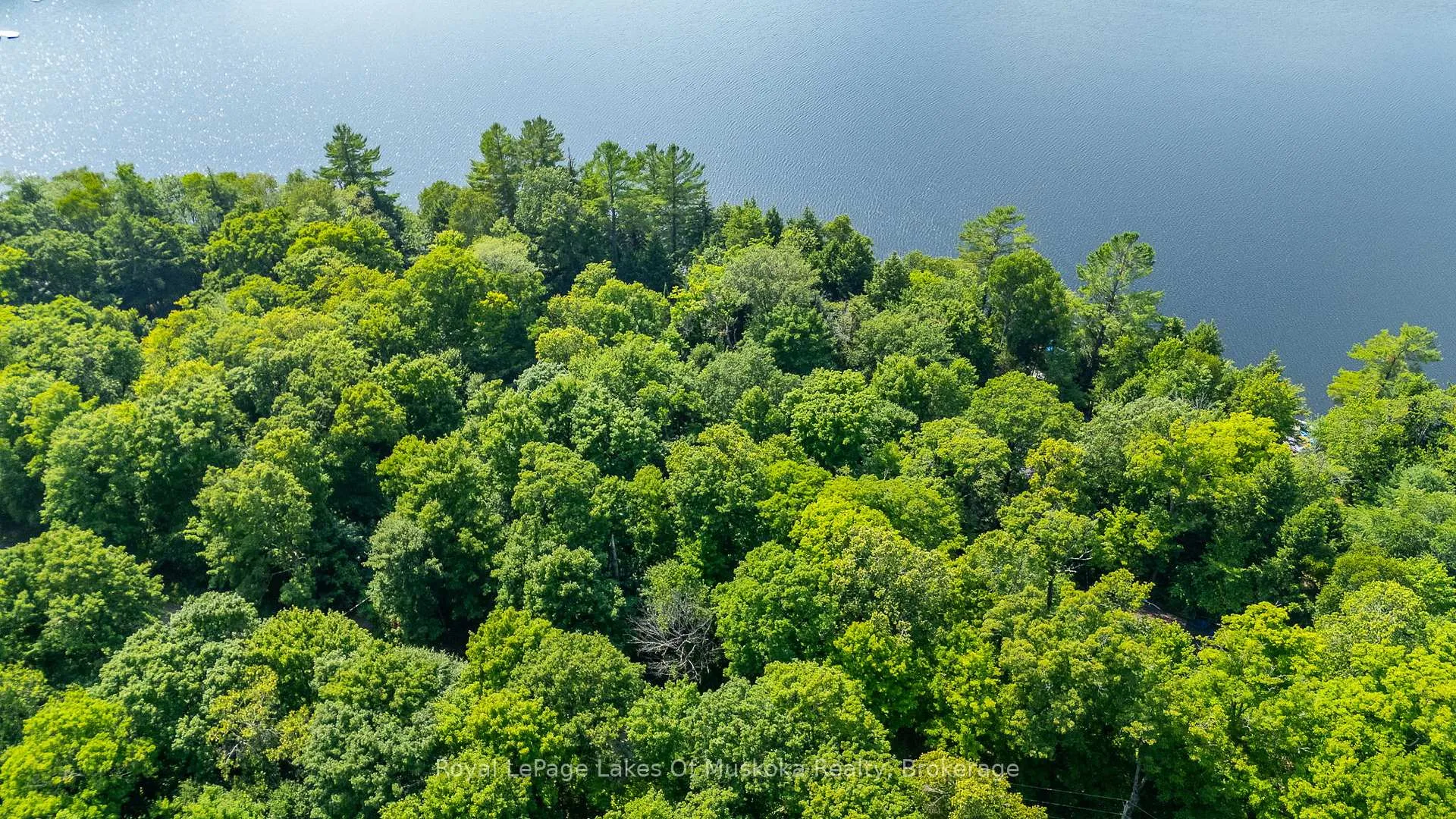Photo 6 of Bird Lake Road, Bracebridge, Oakley — HOMEH