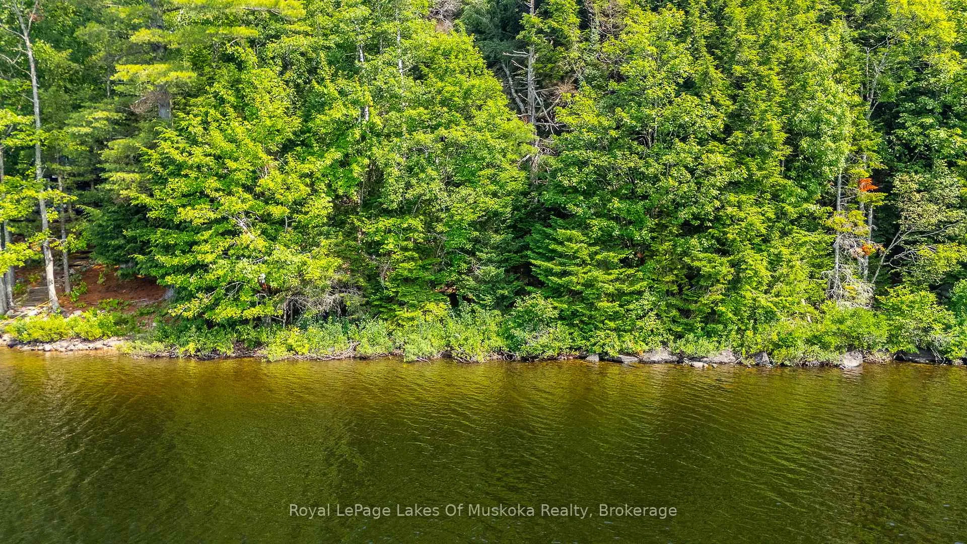 Photo 13 of Bird Lake Road, Bracebridge, Oakley — HOMEH