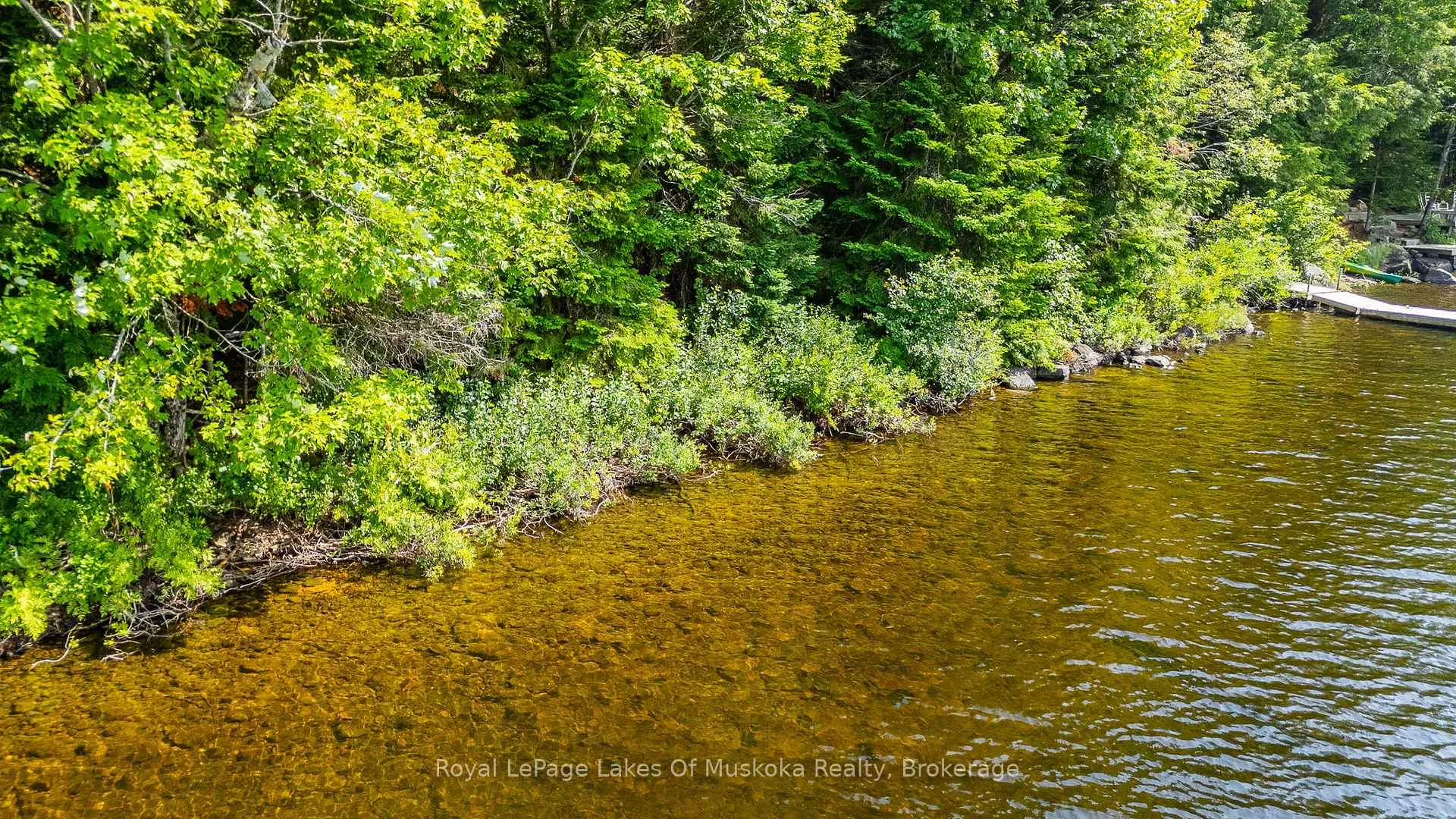 Photo 14 of Bird Lake Road, Bracebridge, Oakley — HOMEH