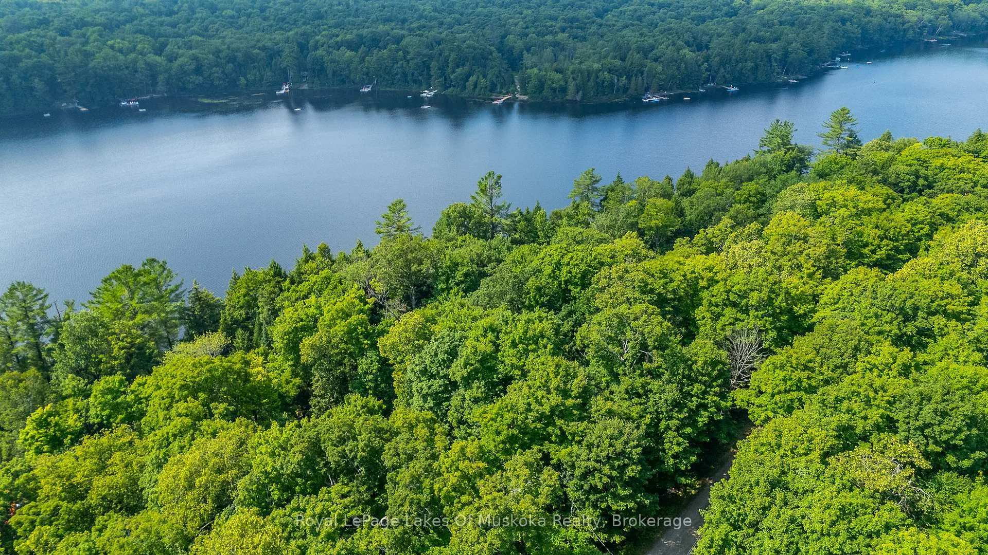 Photo 19 of Bird Lake Road, Bracebridge, Oakley — HOMEH