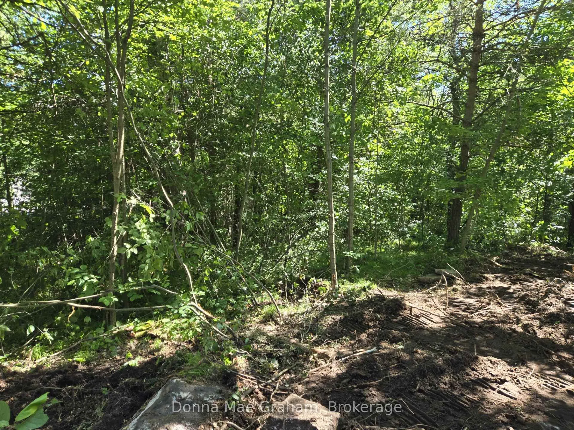 Photo 1 of Highway E, Highlands East, Glamorgan — HOMEH