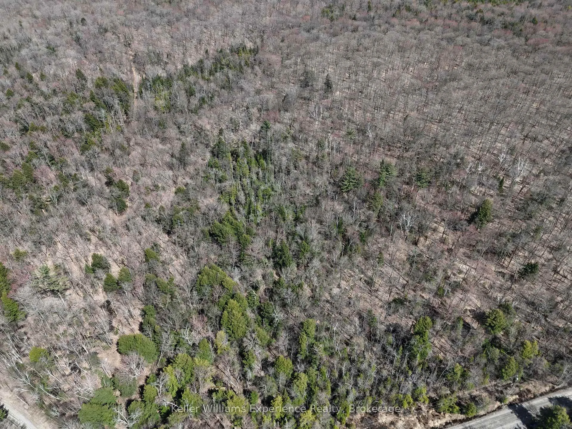 Photo 4 of Peter Road, Bracebridge, Macaulay — HOMEH