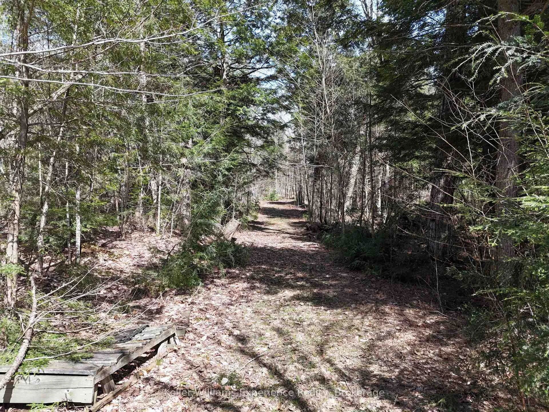 Photo 5 of Peter Road, Bracebridge, Macaulay — HOMEH