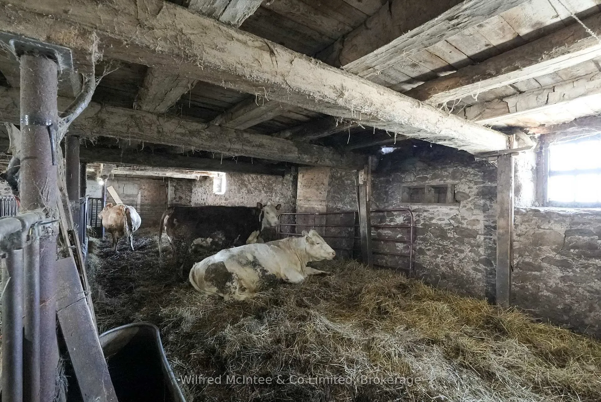 Photo 45 of 1054 4 Concession E, Brockton — HOMEH