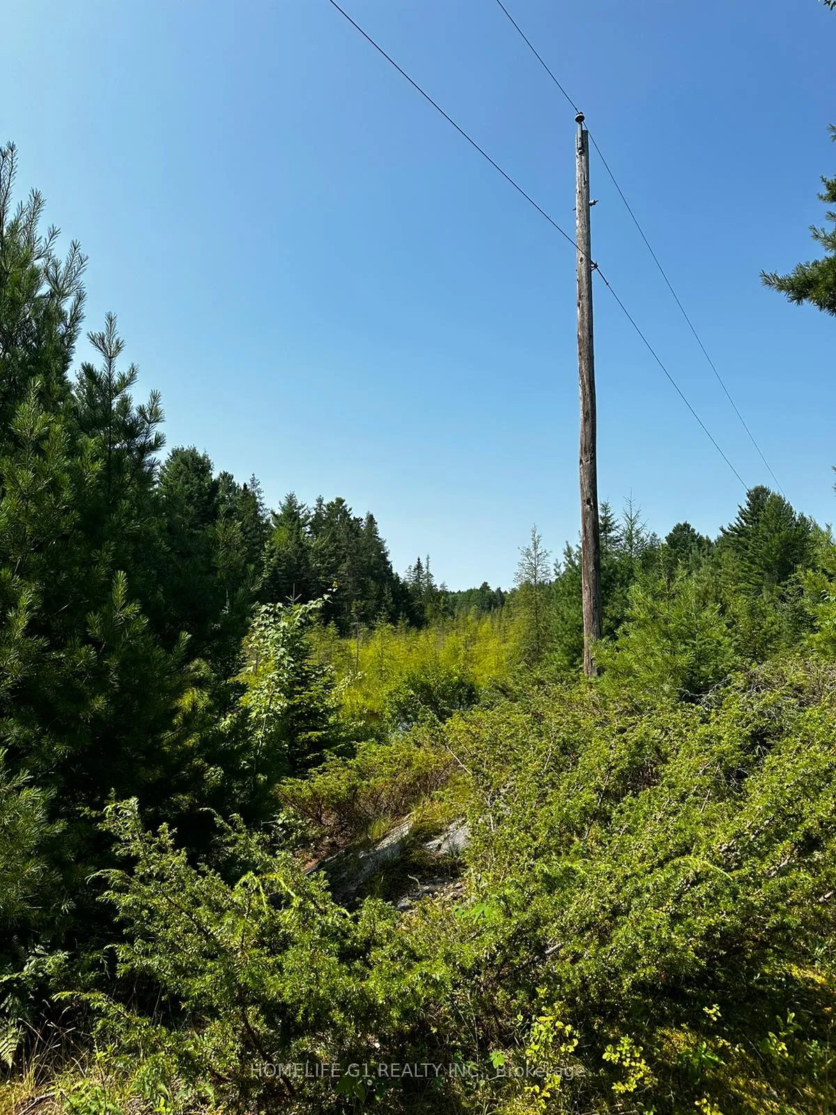 Photo 5 of 00 Bordenwood, Central Frontenac, Frontenac Centre — HOMEH