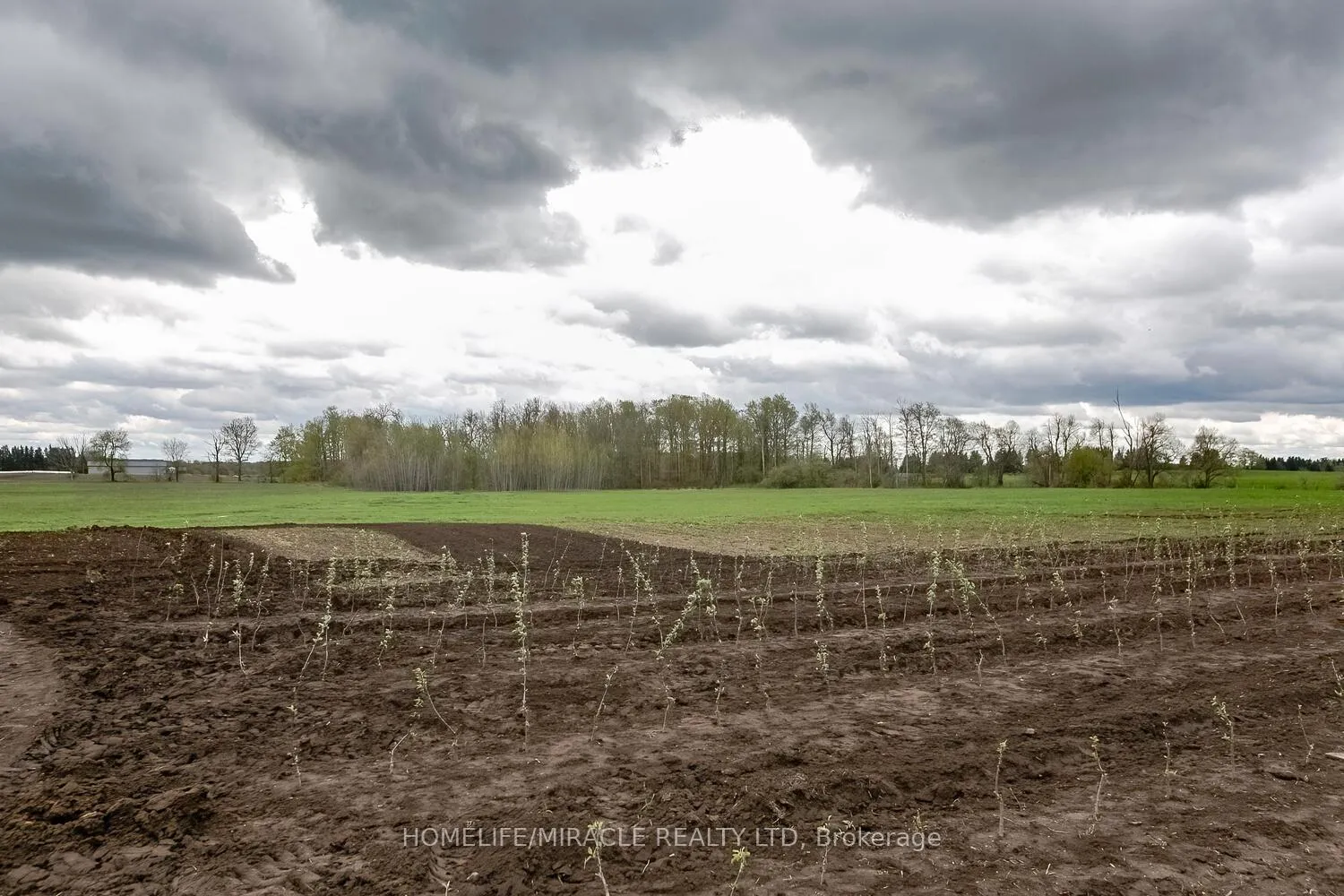 Photo 26 of 18330 Mountainview Road, Caledon, Rural Caledon — HOMEH