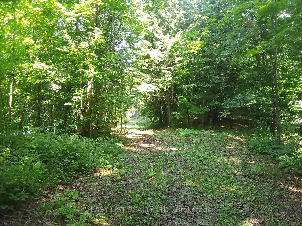 Photo 12 of 75 - 372 Murphy Road, Rideau Lakes, Rideau Lakes (North Crosby) Twp — HOMEH